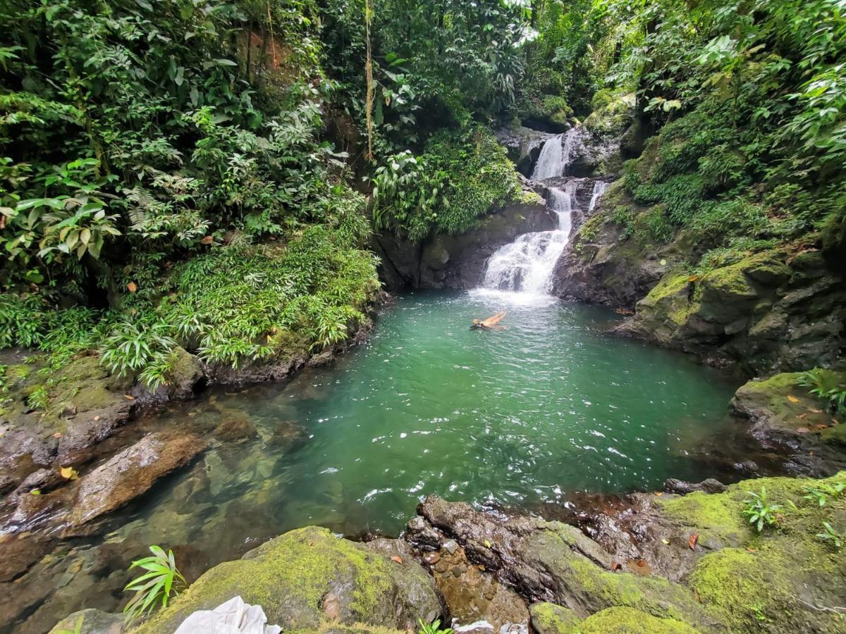 Posada El Esfuerzo Nuqui Luaran gambar